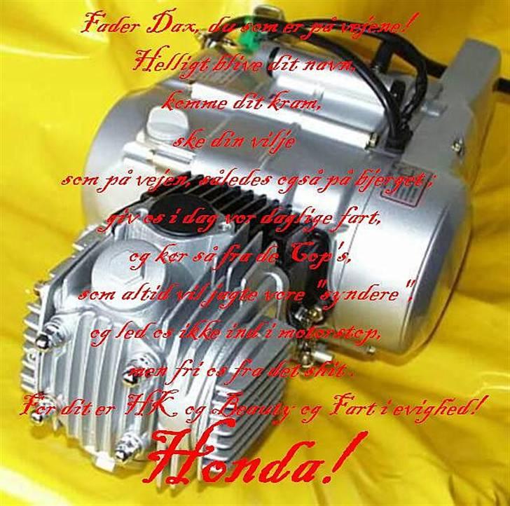 Skyteam Dax billede 17