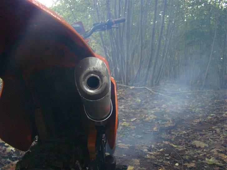 Suzuki Rmx LC DD (Før) Byttet billede 14