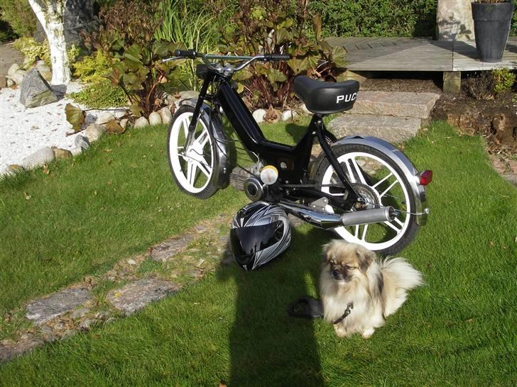 Puch maxi k BYTTET TIL JOG billede 14