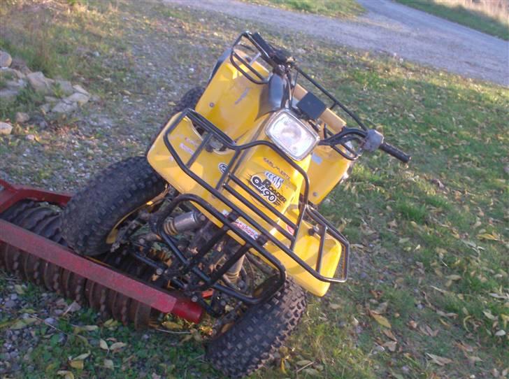 Texas solgt. yes billede 9