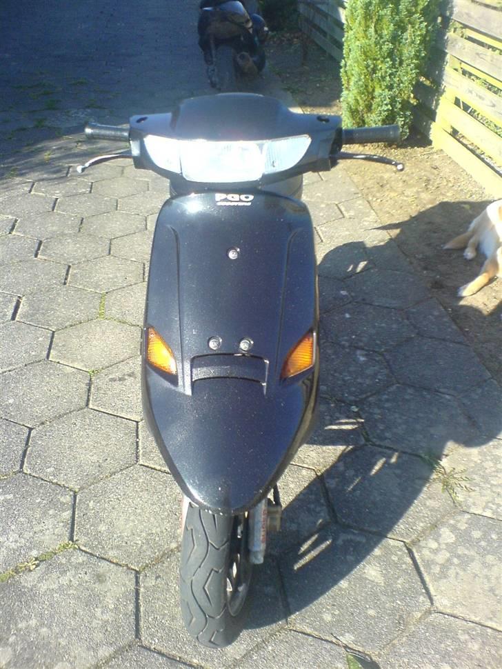 PGO Comet - Nakket den 19 Okt billede 3