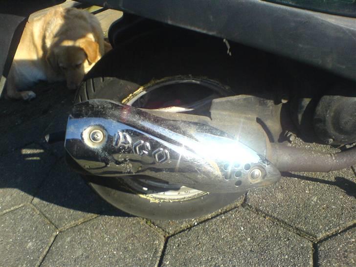 PGO Comet - Nakket den 19 Okt billede 6