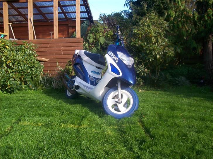 Honda Sfx| Byttet | miss you<3 - Nye billeder inden vinteren ... (08-10-07) billede 11