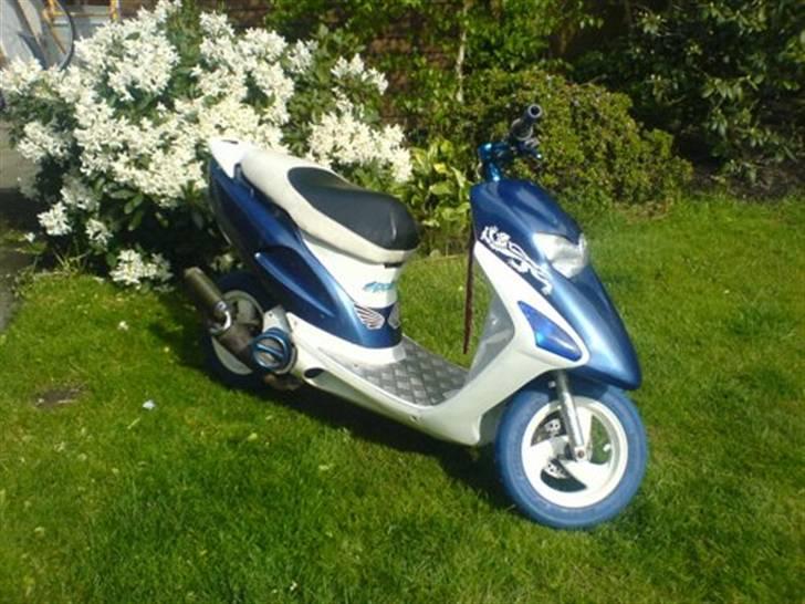 Honda Sfx| Byttet | miss you<3 - Nye billeder inden vinteren ... (08-10-07) billede 12