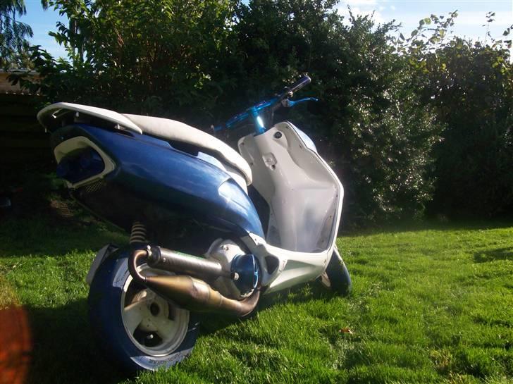 Honda Sfx| Byttet | miss you<3 - Nye billeder inden vinteren ... (08-10-07) billede 13