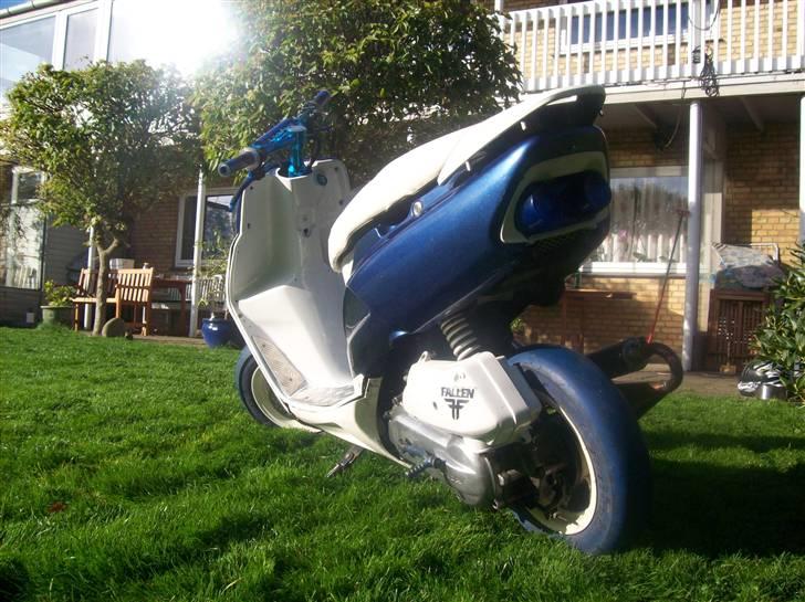 Honda Sfx| Byttet | miss you<3 - Nye billeder inden vinteren ... (08-10-07) billede 14