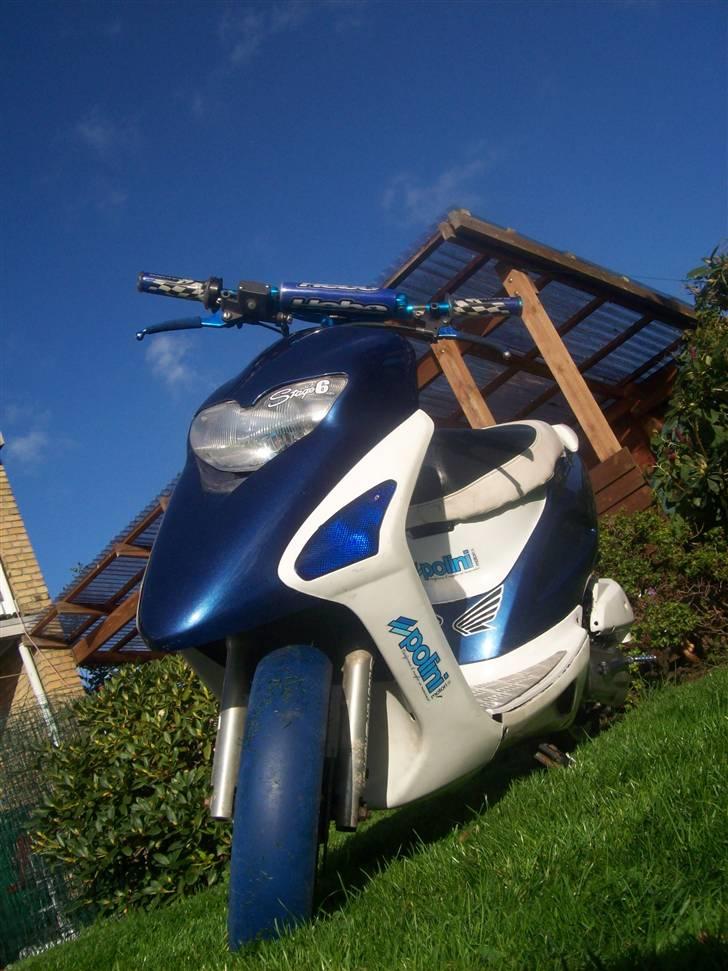 Honda Sfx| Byttet | miss you<3 - Nye billeder inden vinteren ... (08-10-07) billede 15