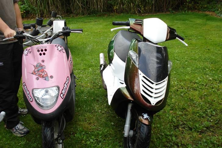 Aprilia sonic kæmilion SOLGT billede 5