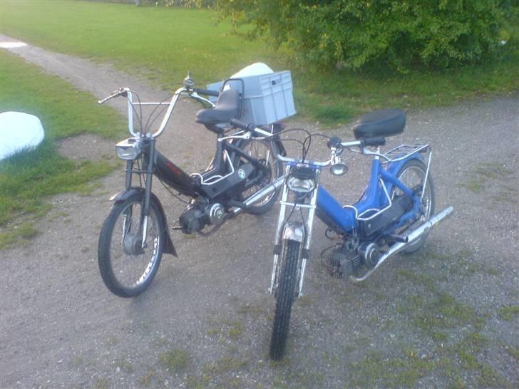 Puch Maxi "Madame Blue" Solgt! - Pimp Queen og Madame Blue billede 4