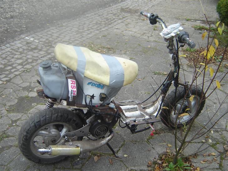 PGO adly/pgo taget a politiet billede 1