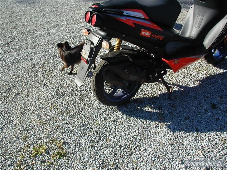 Aprilia sr50 lc dd. BYTTET billede 3