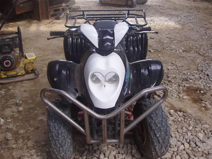 PGO atv billede 3