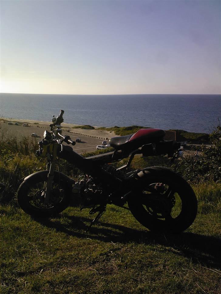 Sachs -|- MadAss -|- billede 15