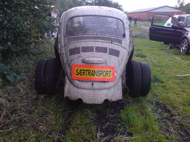 Suzuki Street Magic billede 8