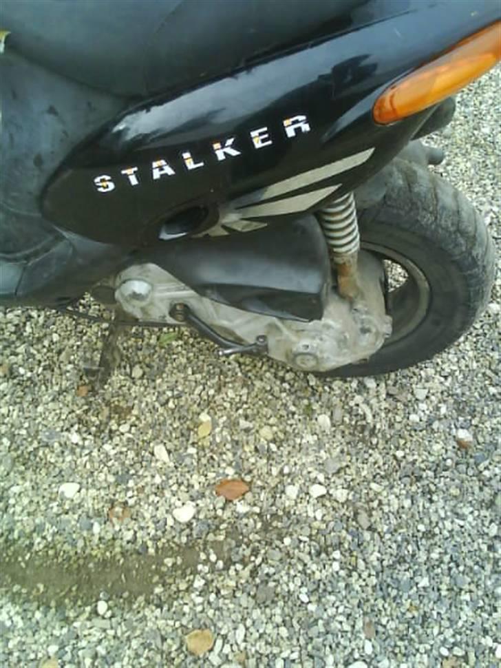 Gilera stalker..  byttet billede 3