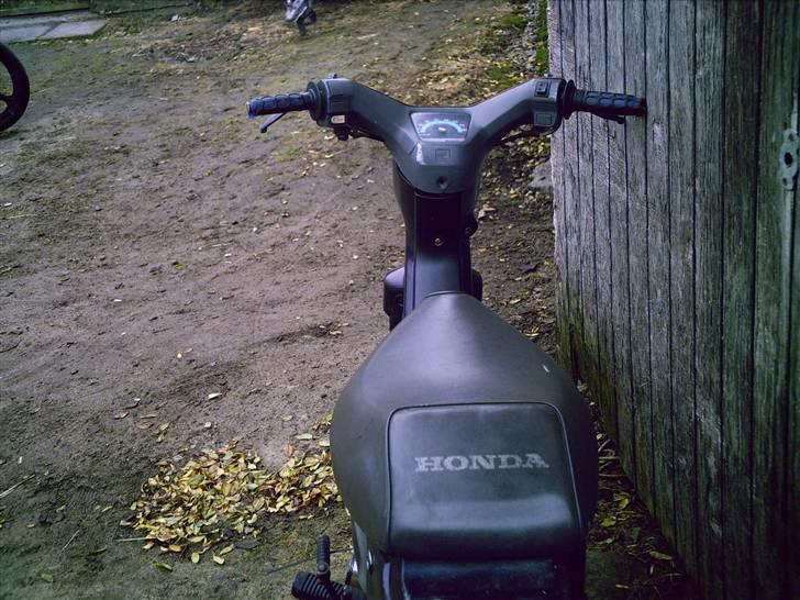 Honda Wallaroo (solgt) billede 16