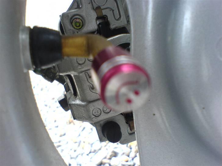 PGO hot 50(hotti) (solgt) ;'( billede 10