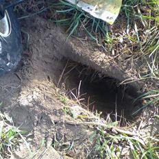 Kazuma 110cc TILSALG