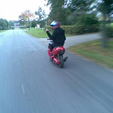 Aprilia Sonic Rosen (savn)<SOLGT>