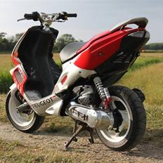 Peugeot Speedfight 2 ™RallyVic