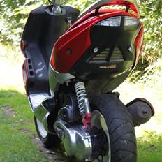 Peugeot Speedfight 2 ™RallyVic