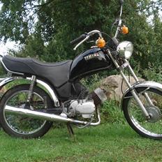 Yamaha FS 80