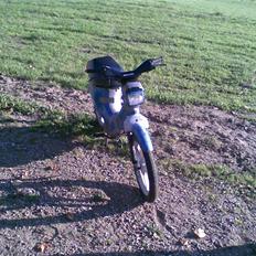 Honda wallaroo (solgt)