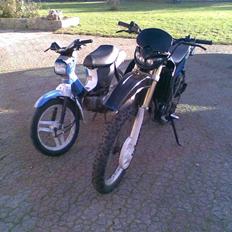 Honda wallaroo (solgt)