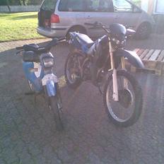 Honda wallaroo (solgt)