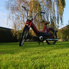 Puch maxi STJÅLET D.29/11