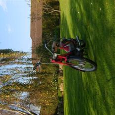 Puch maxi STJÅLET D.29/11