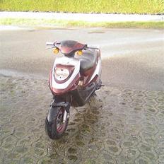 PGO Hot 50 ( SOLGT )