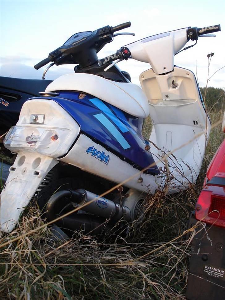 Yamaha Jog As Polini billede 9