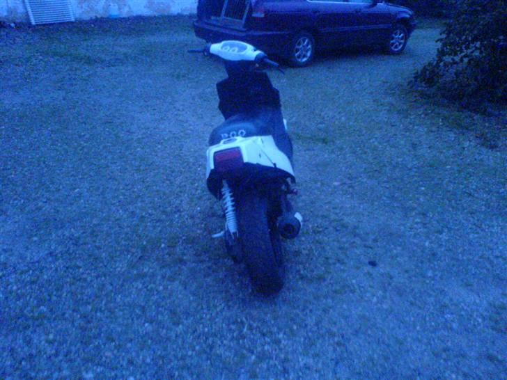 PGO hot 50 solgt billede 4