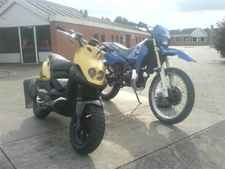 PGO PMX NAKED billede 13