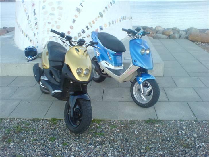 PGO PMX NAKED billede 14