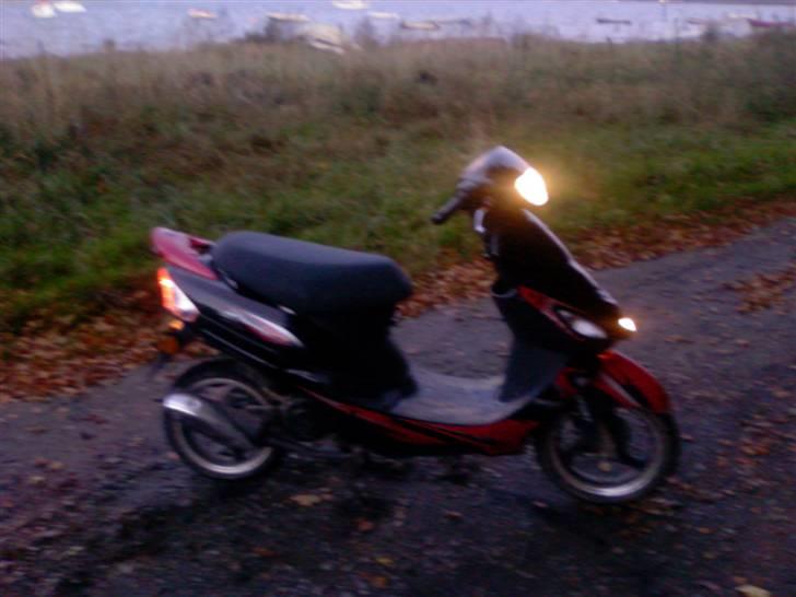 Giantco Sprint Sport billede 1