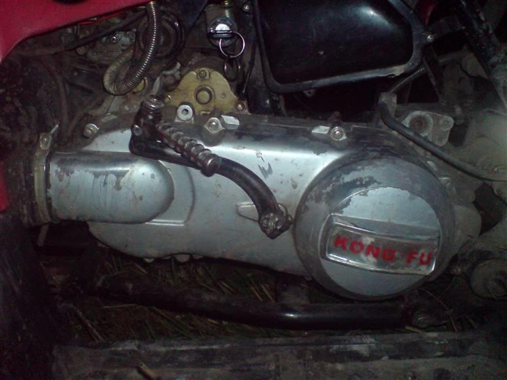 P. Lindberg  atv billede 5