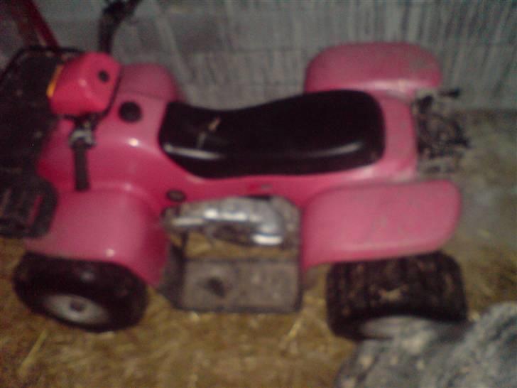 P. Lindberg  atv billede 9