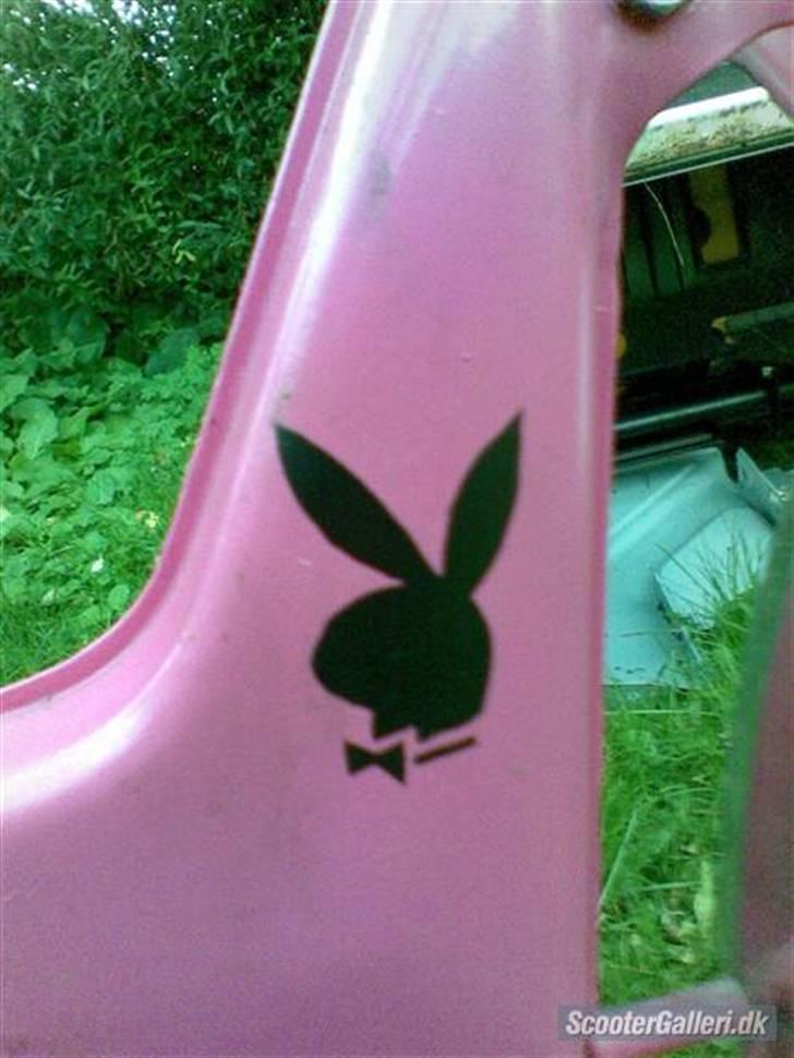 Puch maxi k billede 2