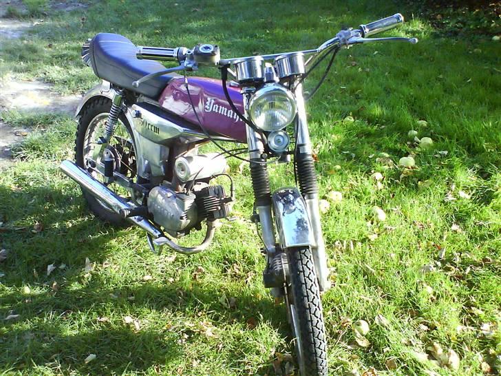 Yamaha 4 gear The Purple Ocean - den skulle lige nyde solen i haven :D billede 12