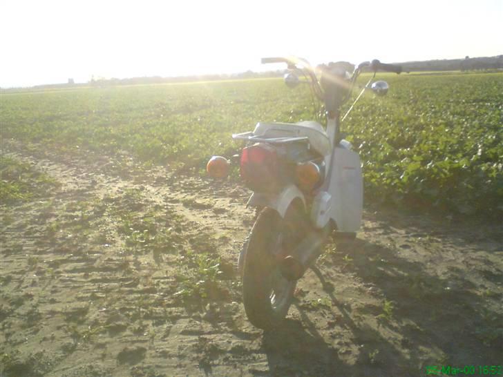 Suzuki fz 50 billede 4