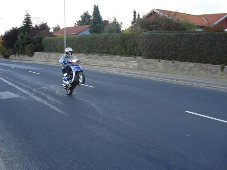 Yamaha Jog As Polini billede 14