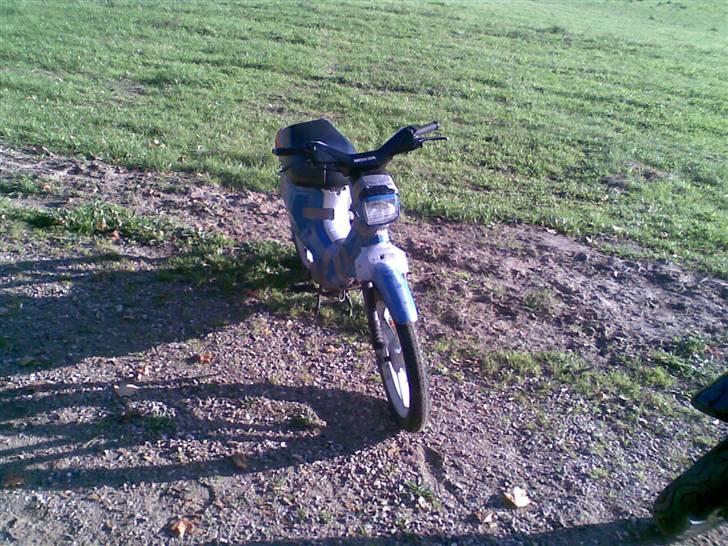 Honda wallaroo (solgt) billede 1