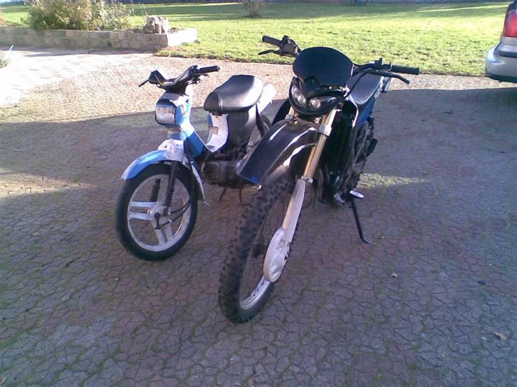 Honda wallaroo (solgt) billede 2