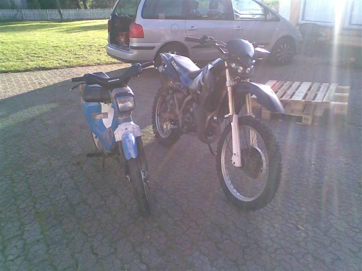 Honda wallaroo (solgt) billede 3