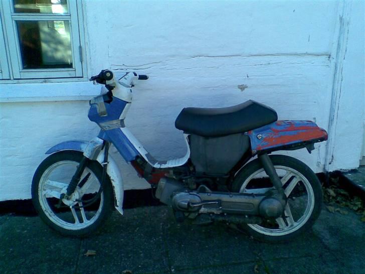 Honda wallaroo (solgt) billede 4