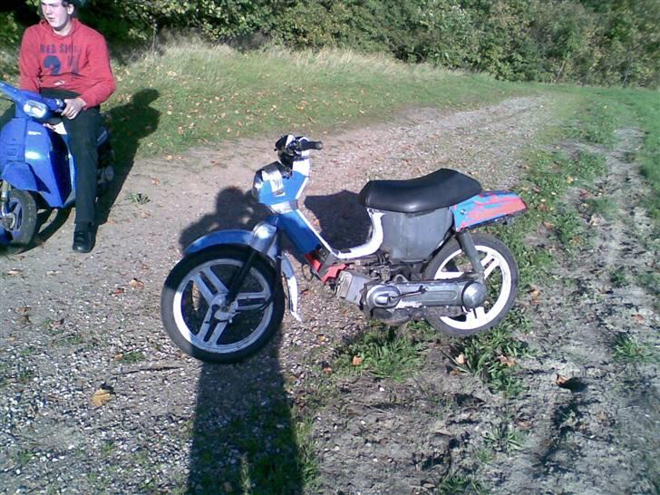 Honda wallaroo (solgt) billede 5