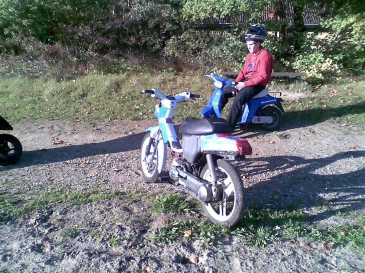 Honda wallaroo (solgt) billede 6