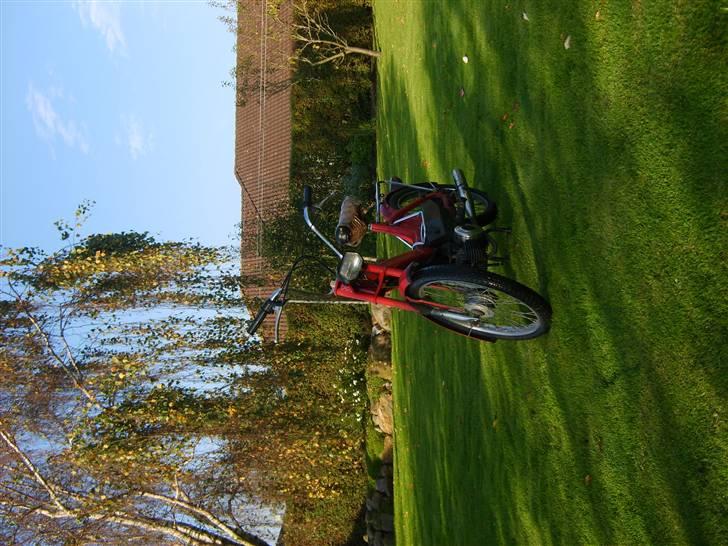 Puch maxi STJÅLET D.29/11 billede 2